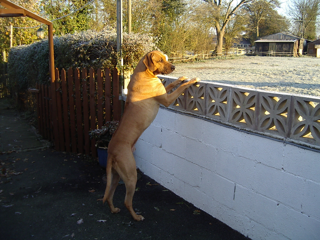 IMGP0860.JPG