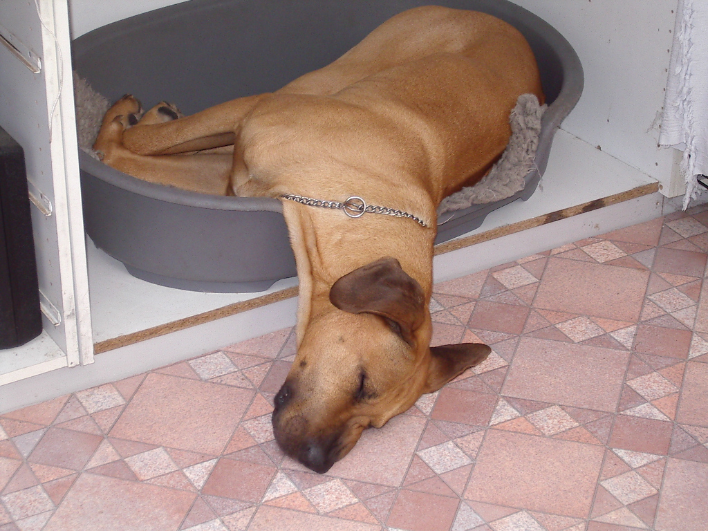IMGP0962.JPG