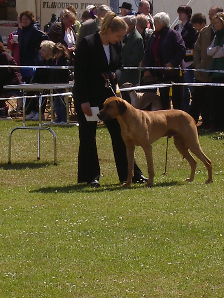IMGP0980.JPG