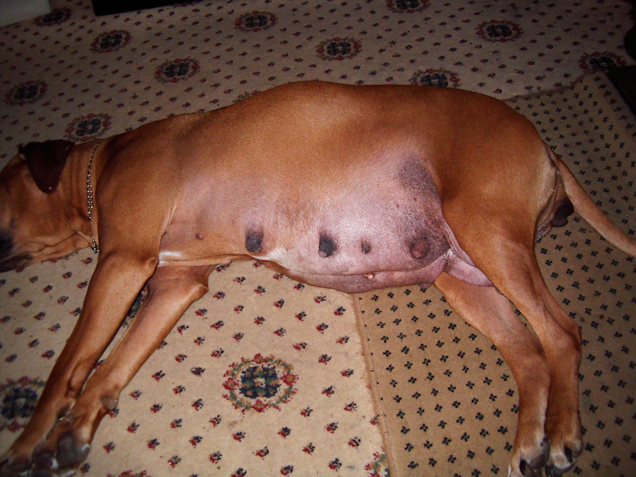 IMGP2684.JPG