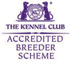 accreditedbreeder.gif