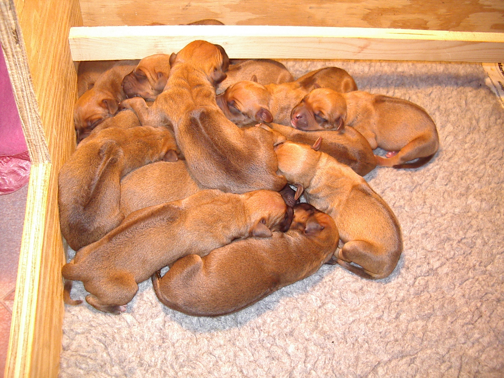 hours.JPG