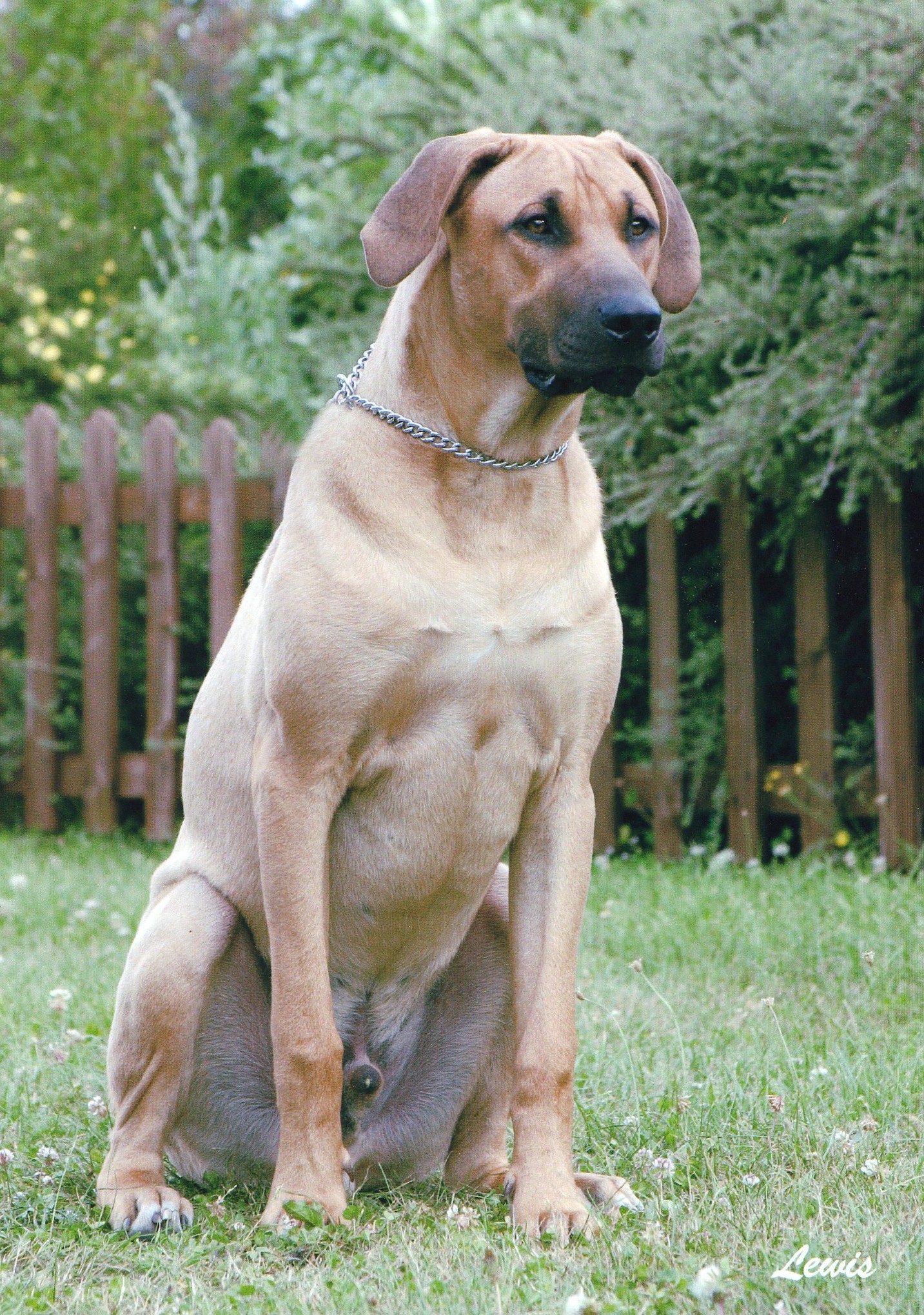 img003.jpg